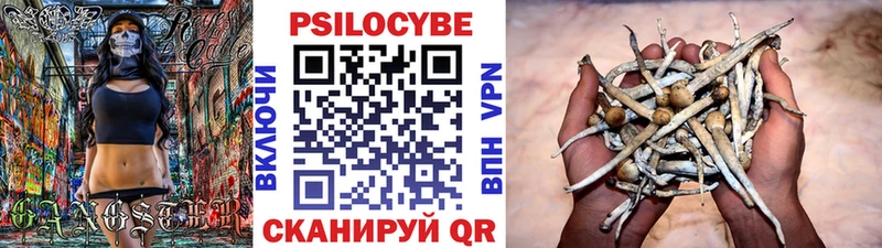 Псилоцибиновые грибы мицелий  ссылка на мегу зеркало  Унеча 