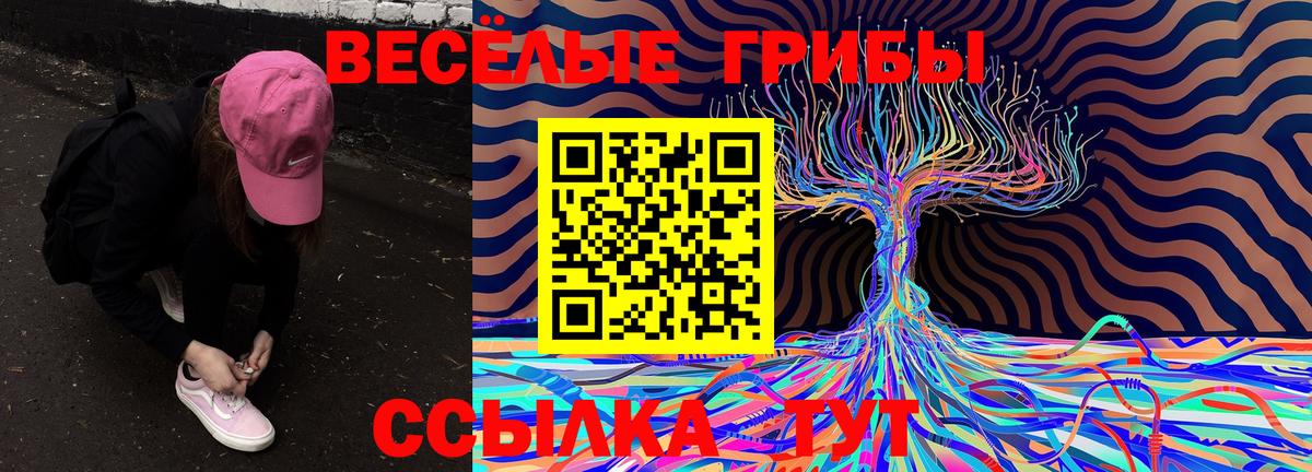 Галлюциногенные грибы мухоморы  Вход с VPN  Унеча 